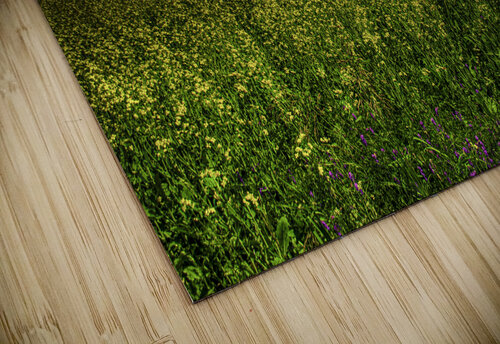 JBS 3554  James Shedden Photography puzzle