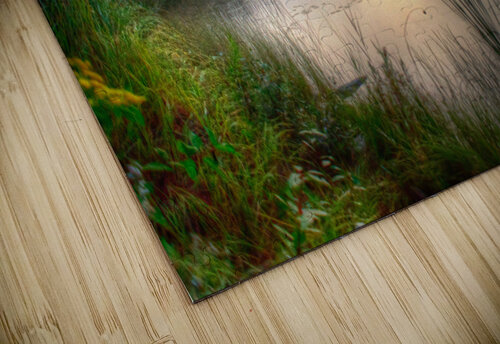 JBS 2558  James Shedden Photography puzzle