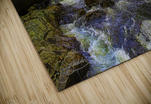 JBS 9699  James Shedden Photography puzzle