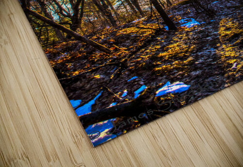 JBS 7909  James Shedden Photography puzzle