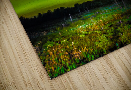 JBS 2348 James Shedden Photography puzzle