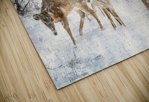 JBS 3204 2 Abstract James Shedden Photography puzzle