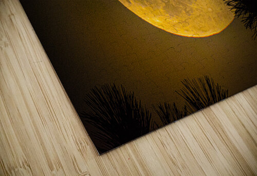 JBS 9574  James Shedden Photography puzzle