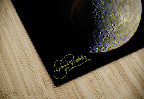 JBS 3686  James Shedden Photography puzzle