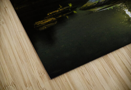 JBS 1098  James Shedden Photography puzzle