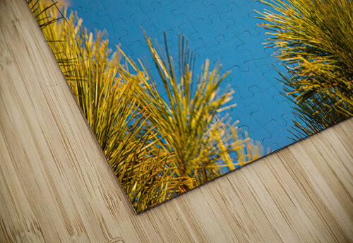 JBS 9958  James Shedden Photography puzzle