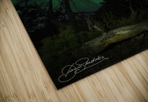 JBS 5620  James Shedden Photography puzzle