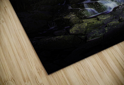 CRC 1831 1 James Shedden Photography puzzle