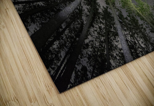 JBS 5553  James Shedden Photography puzzle