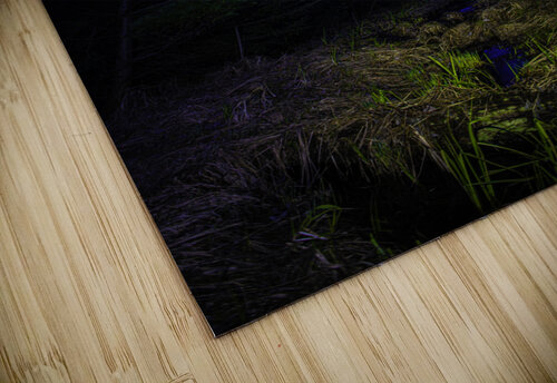 JBS 4835  James Shedden Photography puzzle