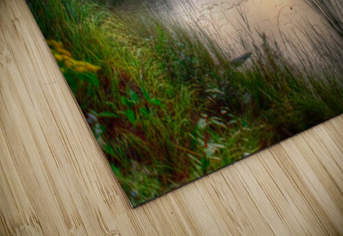 JBS 2558 James Shedden Photography puzzle