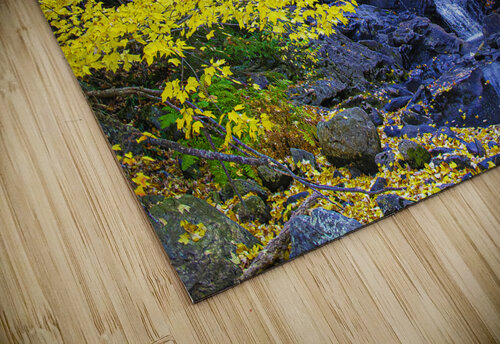 ZJS 5787 James Shedden Photography puzzle