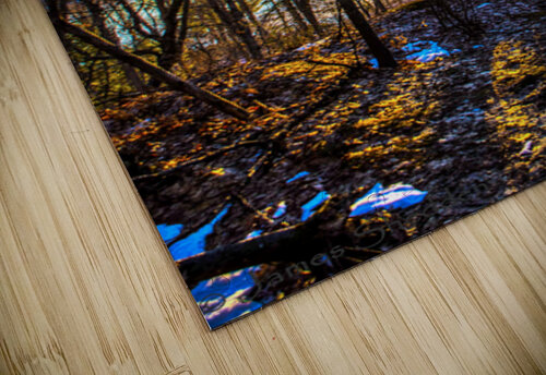 JBS 7909 James Shedden Photography puzzle