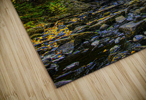 ZJS 5785 James Shedden Photography puzzle