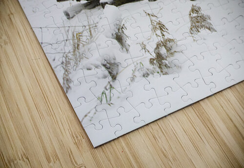 JBS 5025 James Shedden Photography puzzle