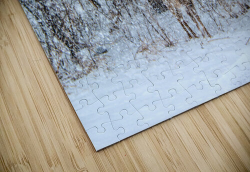 JBS 0383 James Shedden Photography puzzle