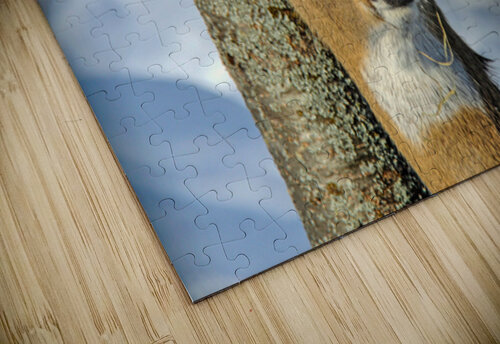  JBS4926 James Shedden Photography puzzle