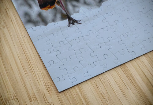 DSC 5553 James Shedden Photography puzzle