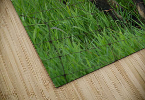 JBS 2499 James Shedden Photography puzzle