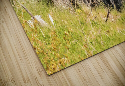 JBS 2614  James Shedden Photography puzzle