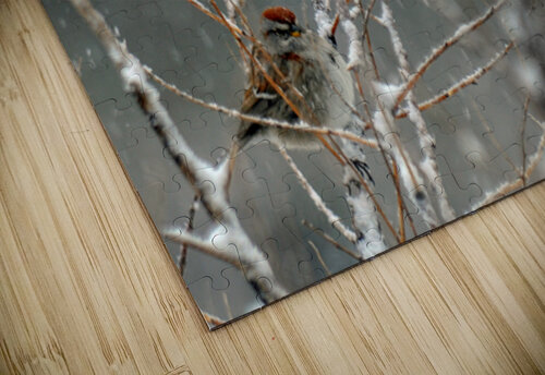  JBS9523 James Shedden Photography puzzle