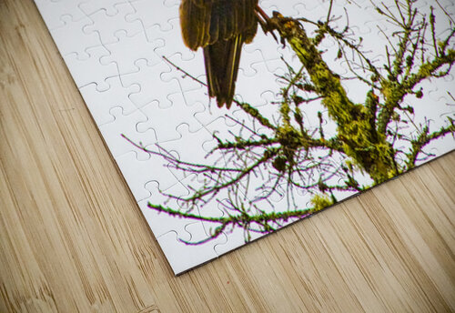 JBS 3472 James Shedden Photography puzzle