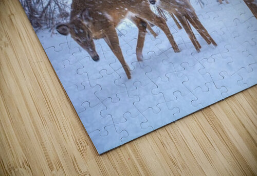 JBS 3204 2  James Shedden Photography puzzle