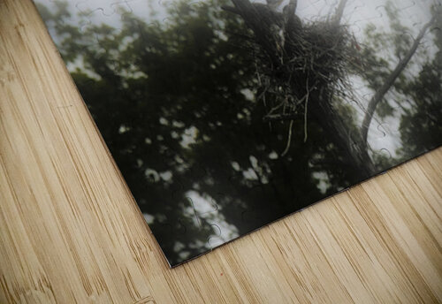 JBS 1831 James Shedden Photography puzzle