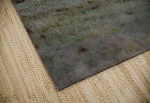 JBS 0650 James Shedden Photography puzzle