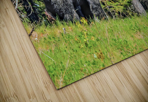 JBS 2617-1 James Shedden Photography puzzle