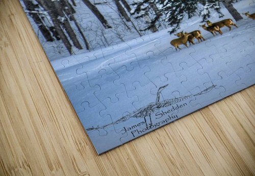 DSC 5638 James Shedden Photography puzzle