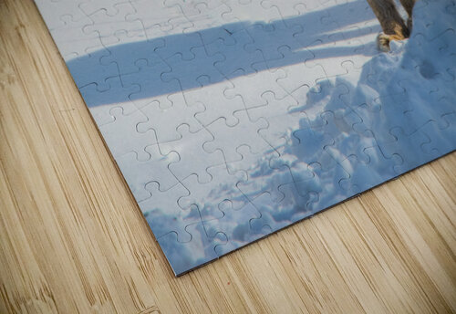 JBS 8771 James Shedden Photography puzzle