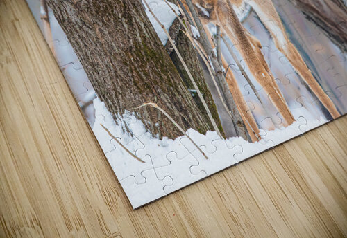 JBS 8854 James Shedden Photography puzzle