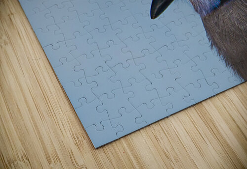 JBS 9514 James Shedden Photography puzzle