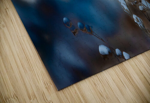 JBS 8295 James Shedden Photography puzzle