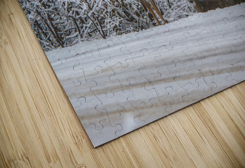 JBS 7888  James Shedden Photography puzzle