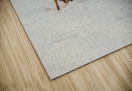 JBS 6354 James Shedden Photography puzzle