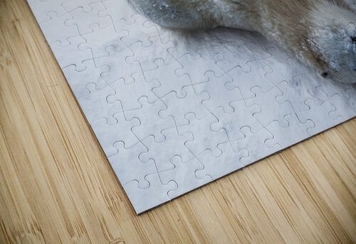 JBS 8390 James Shedden Photography puzzle