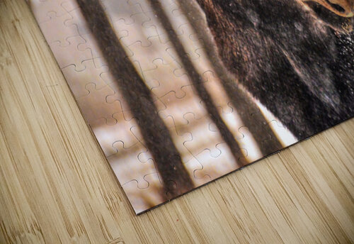 JBS 4894 James Shedden Photography puzzle