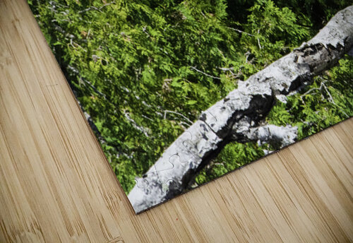 JBS 6779 James Shedden Photography puzzle