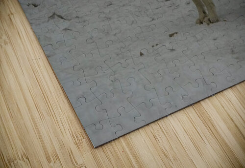 JBS 9056 James Shedden Photography puzzle