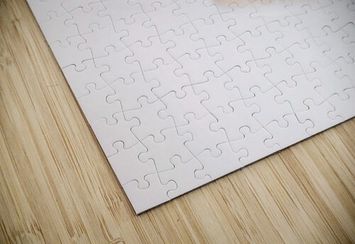 JBS 5691  James Shedden Photography puzzle