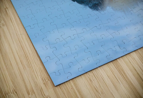 JBS 8465 James Shedden Photography puzzle