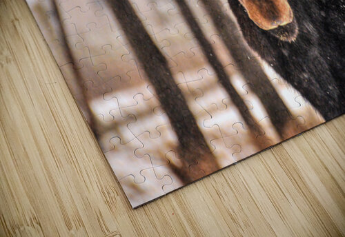 JBS 4896  James Shedden Photography puzzle