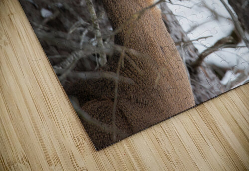 JBS 8968 James Shedden Photography puzzle