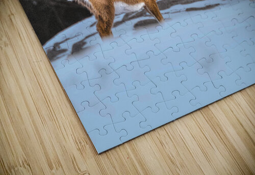 JBS 5494  James Shedden Photography puzzle