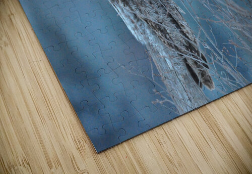 JBS 5393 James Shedden Photography puzzle