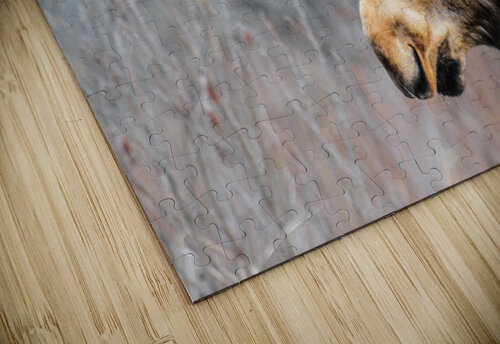 JBS 6219 James Shedden Photography puzzle