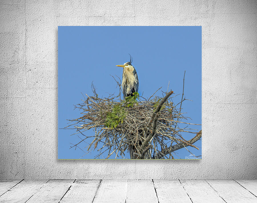 JBS 0860ED Wall Preview