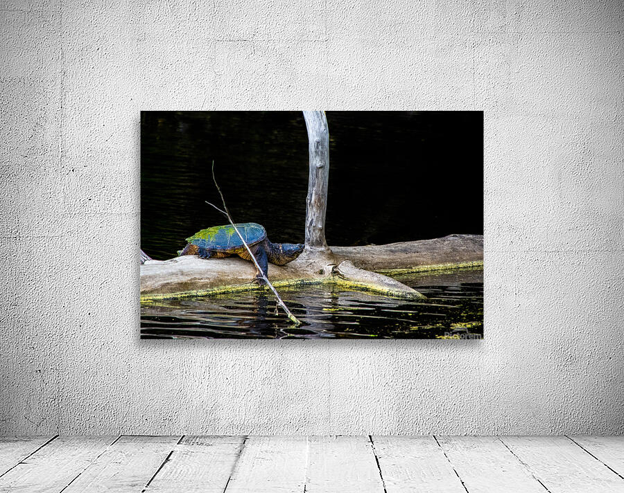 JBS 1007 Wall Preview